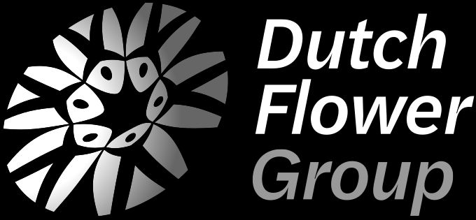 Dutch Flower Group logo